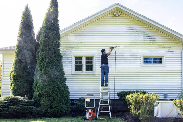 Best Garage Pressure Washing  in Holt, AL